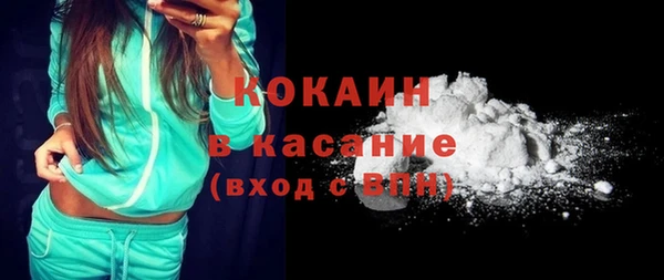 сатива Надым