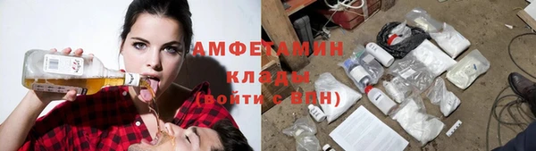 сатива Надым