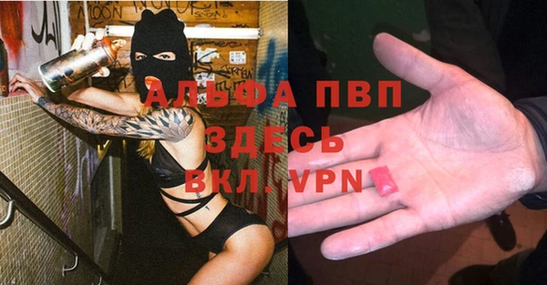 сатива Надым