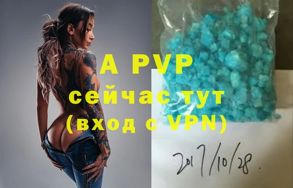 тгк Нея