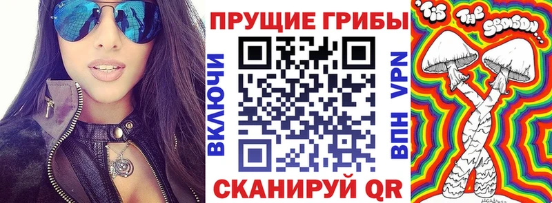 даркнет сайт  hydra сайт  Псилоцибиновые грибы GOLDEN TEACHER  Лосино-Петровский 