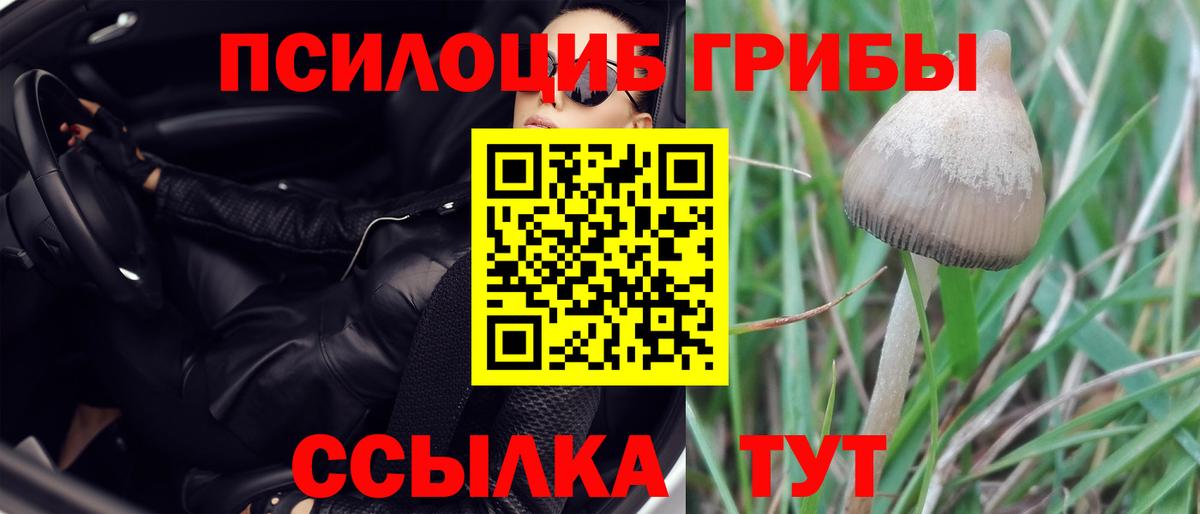 Галлюциногенные грибы ЛСД  хочу   Лосино-Петровский  Псилоцибиновые грибы MAGIC MUSHROOMS  Вход с VPN 