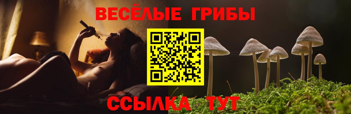 Галлюциногенные грибы мицелий Лосино-Петровский